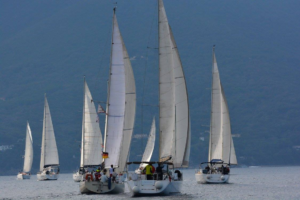 14567546_1123450171044324_6288641002962503218_o